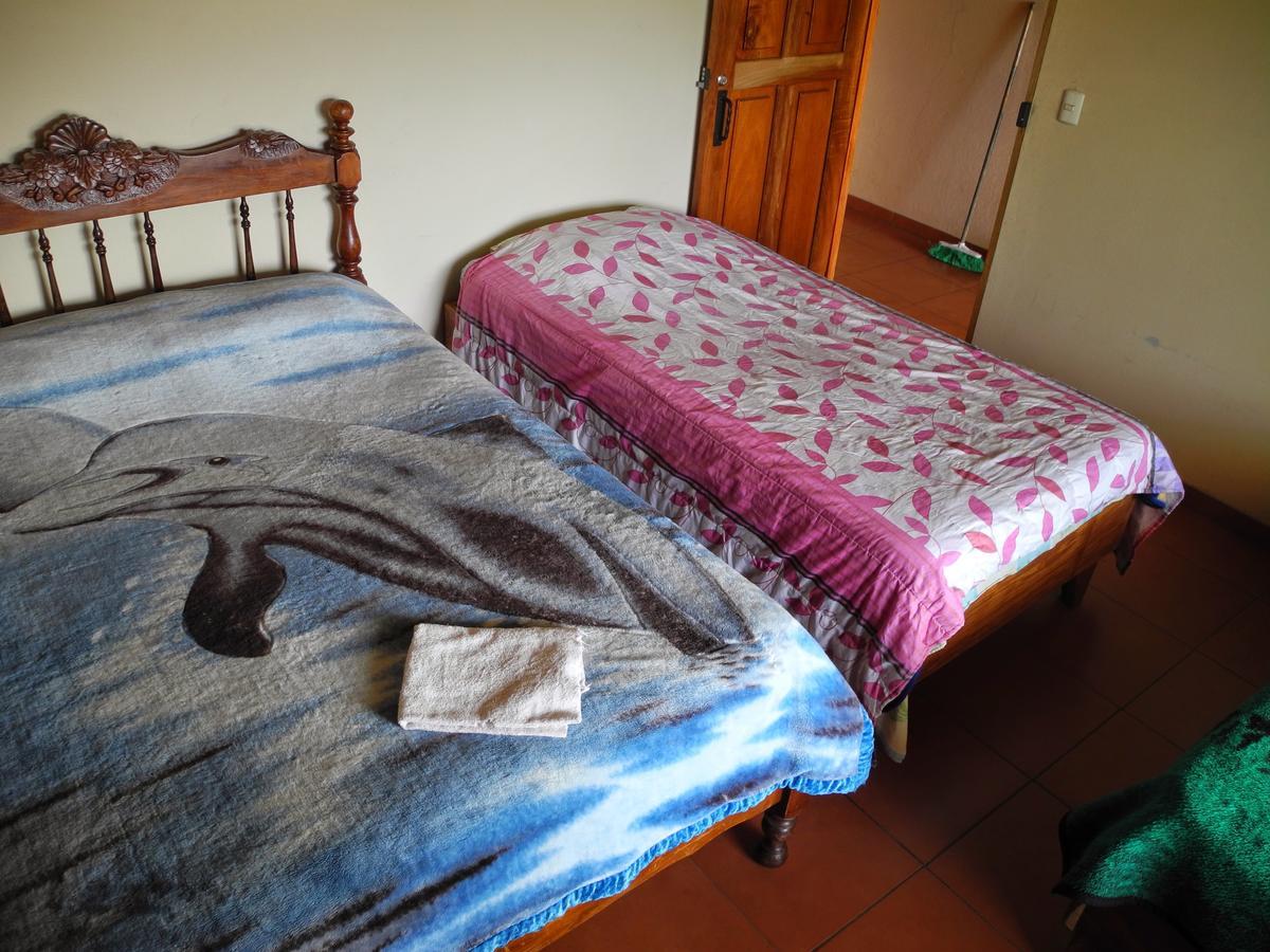 Sleepers Sleep Cheaper Hostel Monteverde Luaran gambar